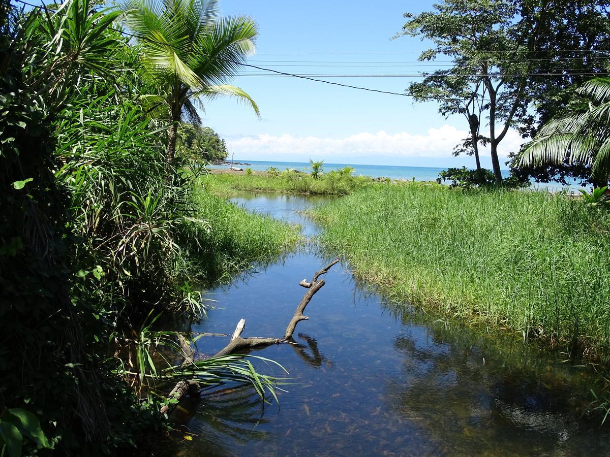 Hostel Osa Tucan Drake Drake Bay Exterior photo